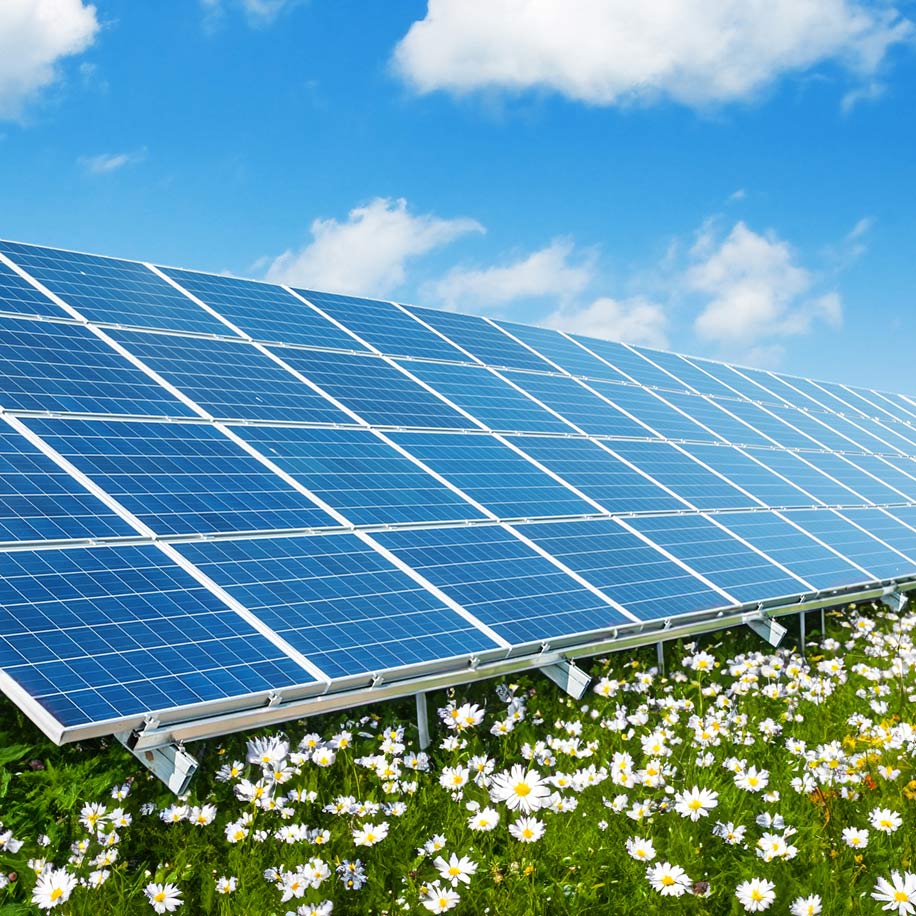 solar_panel_a1_blumen_liz